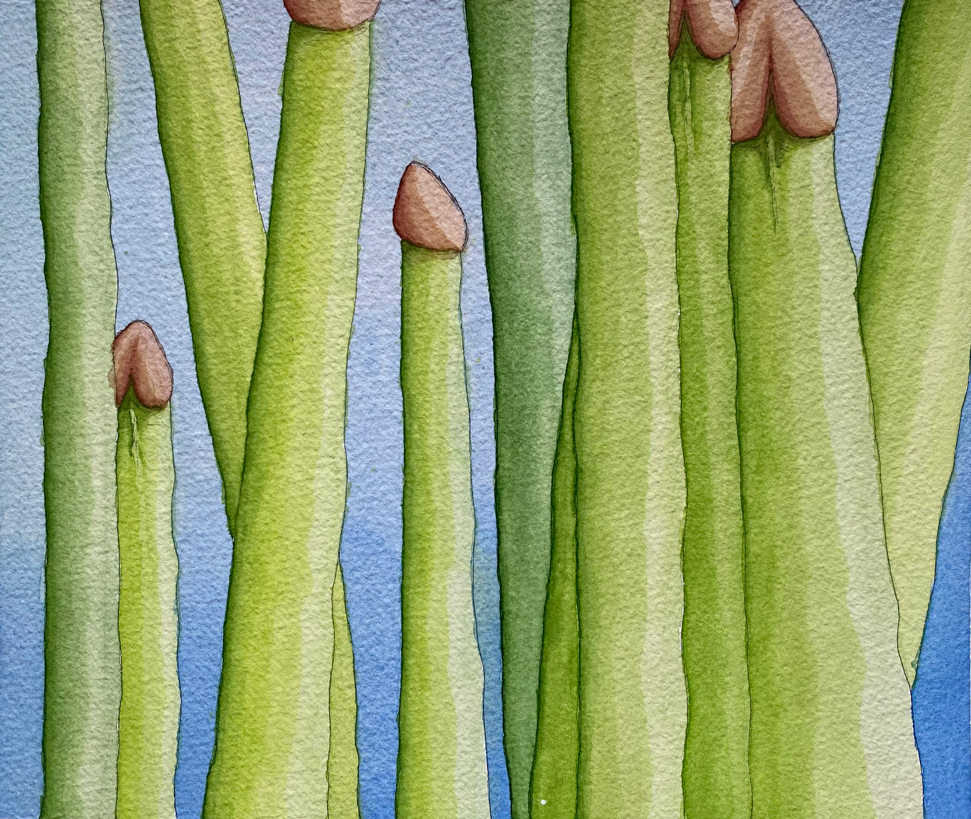 Watercolor Work I